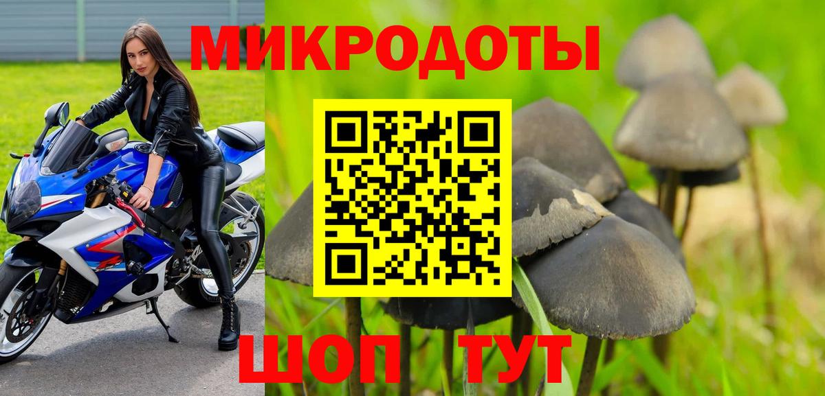 Хабаровск  Псилоцибиновые грибы Psilocybine cubensis  Вход с VPN  Галлюциногенные грибы Magic Shrooms 